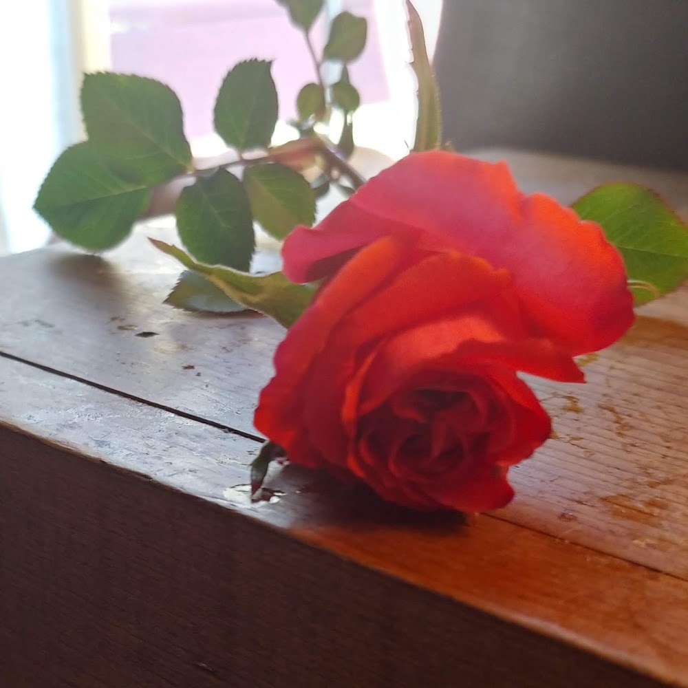 Meet your Posher, Darian